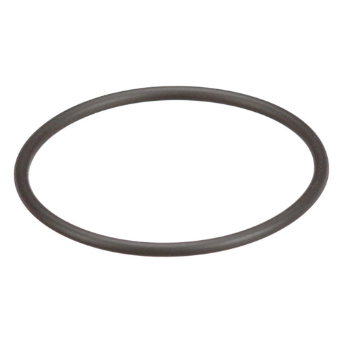 8097979 - OEM O-RING - CASE CONSTRUCTION
