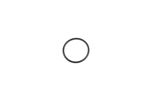 81695C1 - OEM O-Ring - Case Construction