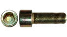84056630 - OEM Screw Hex Soc - Case Construction