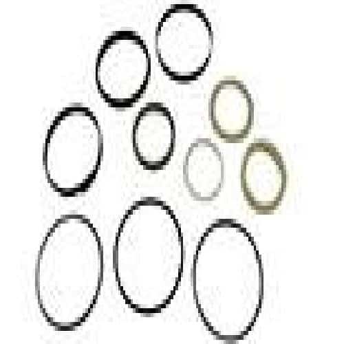 84209920 - OEM SEAL KIT 56MM ROD X 100MM BORE - CASE CONSTRUCTION