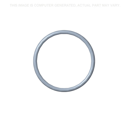 84375830 - OEM O-Ring - Case Construction
