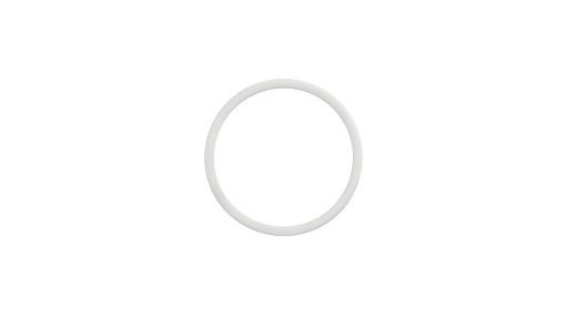 85828100 - OEM BACK-UP RING - CASE CONSTRUCTION
