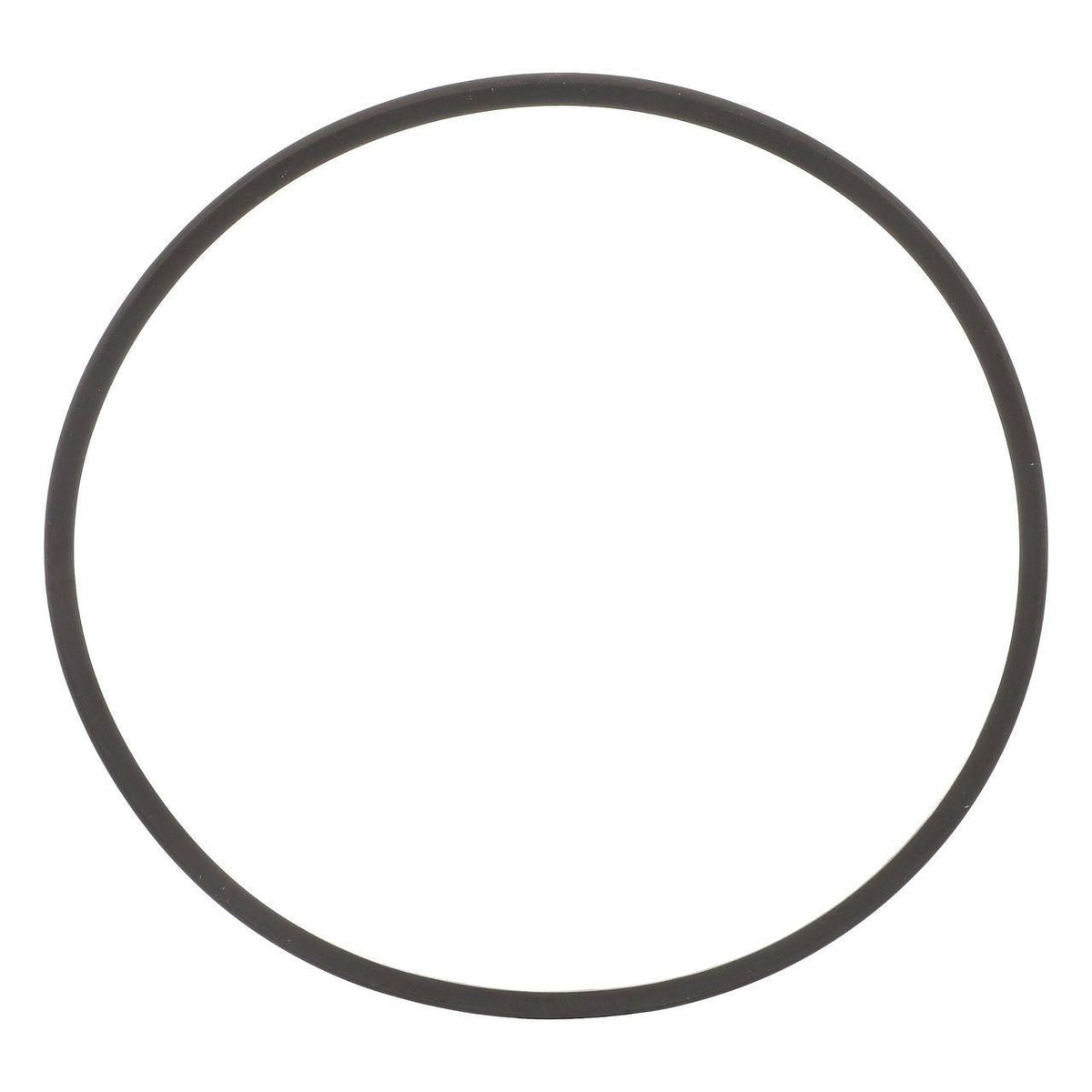 86018405 - OEM PISTON OUTER SEAL KIT - CASE CONSTRUCTION