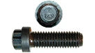 868-10040 - OEM SCREW 12 POINT - CASE CONSTRUCTION