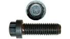 868-10040 - OEM SCREW 12 POINT - CASE CONSTRUCTION