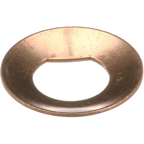 87727553 - OEM Thrust Washer - Case Construction