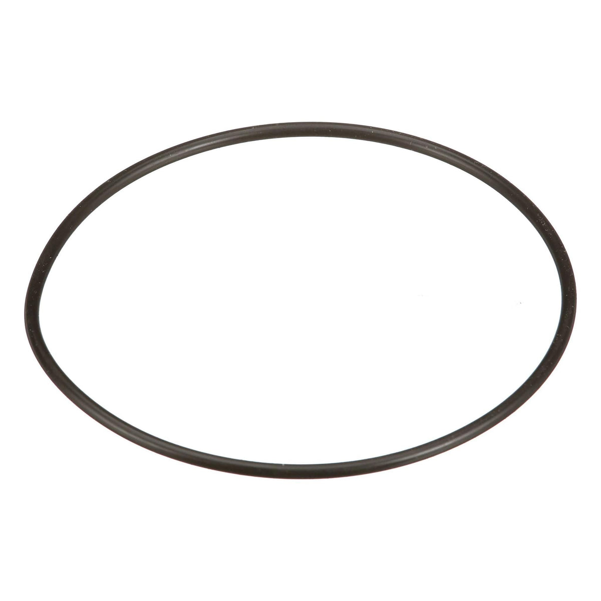 93196C1 - OEM FILTER O-RING - CASE CONSTRUCTION