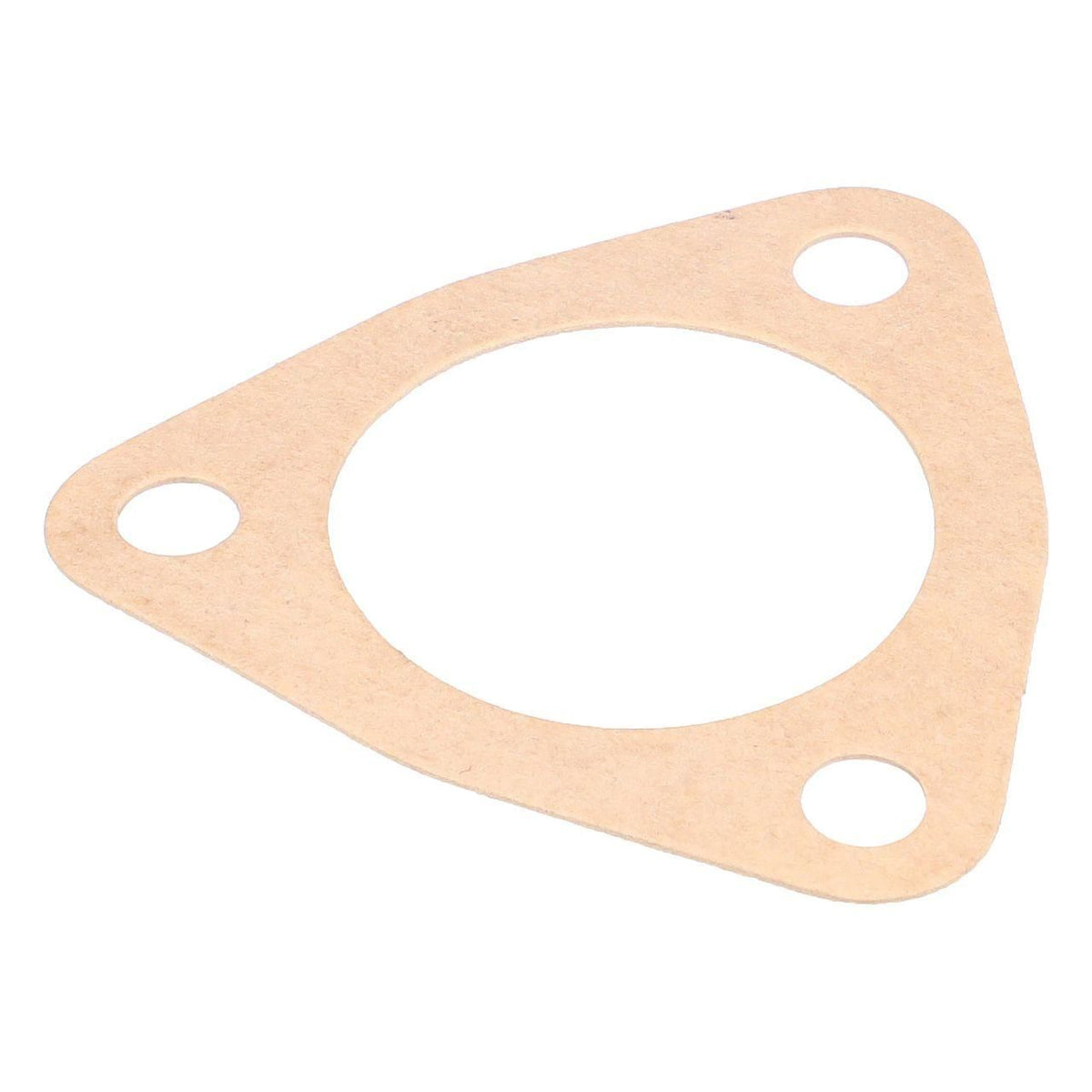 A46542 - OEM GASKET - CASE CONSTRUCTION