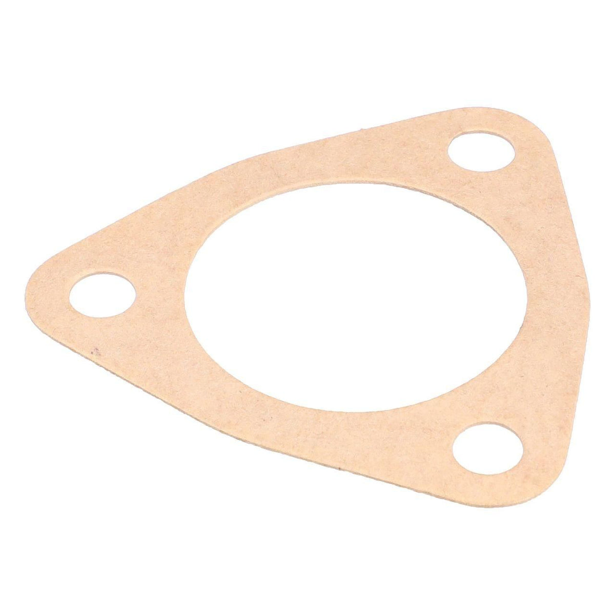 A46542 - OEM GASKET - CASE CONSTRUCTION