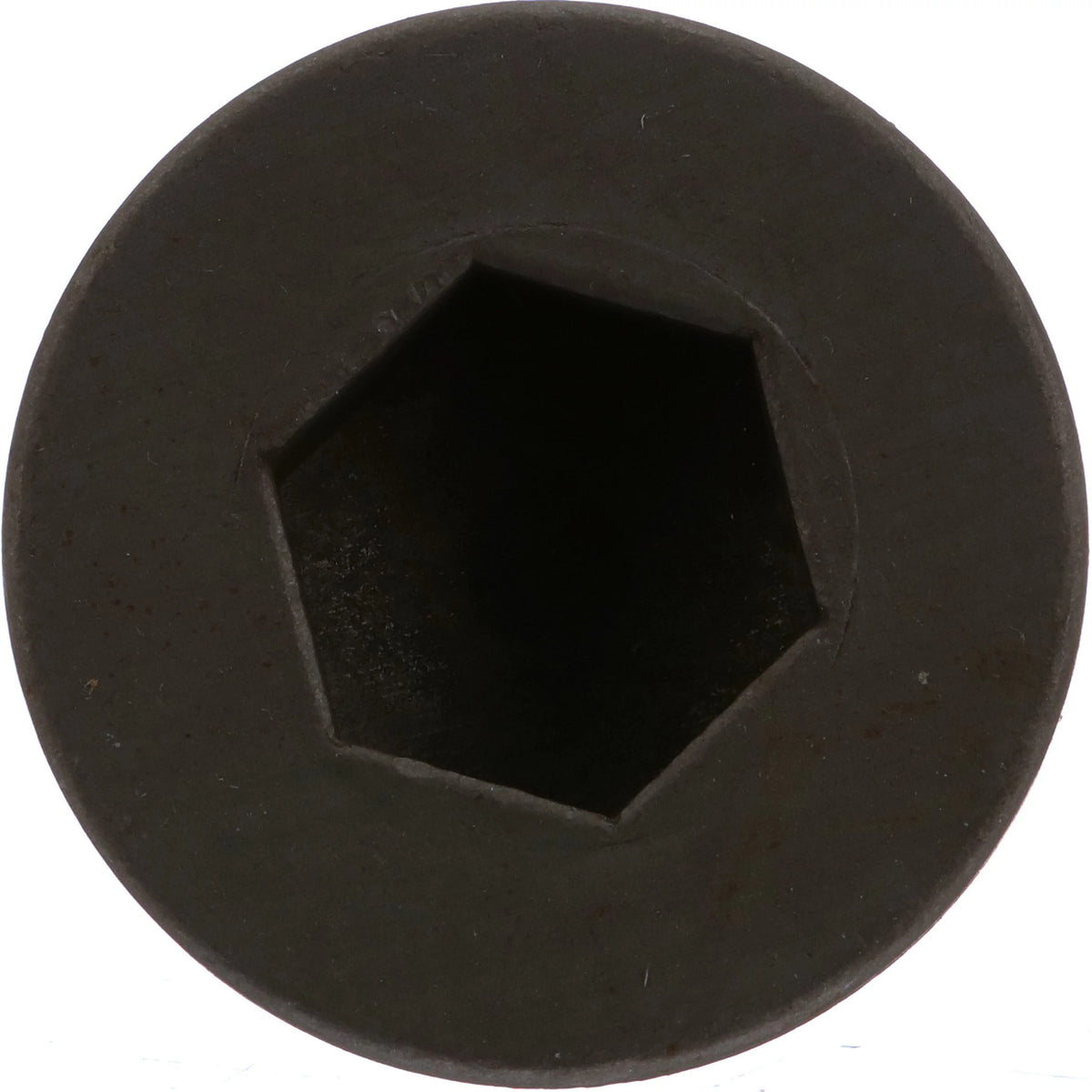 A48791 - OEM PLUG SCREW - CASE CONSTRUCTION