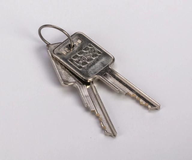 A77313 - OEM SET OF 2 KEYS SET/KEYS - CASE CONSTRUCTION
