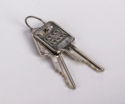 A77313 - OEM SET OF 2 KEYS SET/KEYS - CASE CONSTRUCTION