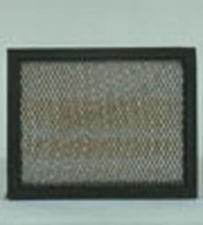 AF25227 - OEM FLEETGUARD AIR FILTER - CASE CONSTRUCTION