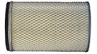 AF25309 - OEM AIR FILTER - CASE CONSTRUCTION