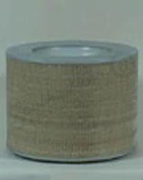 AF25427 - OEM FLEETGUARD AIR FILTER - CASE CONSTRUCTION