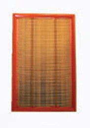AF25841 - OEM AIR FILTER - CASE CONSTRUCTION