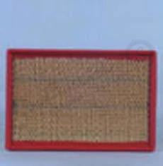 AF4619 - OEM FLEETGUARD AIR FILTER - CASE CONSTRUCTION