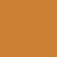 B17662 - OEM PAINT GALLON POWER TAN - CASE CONSTRUCTION