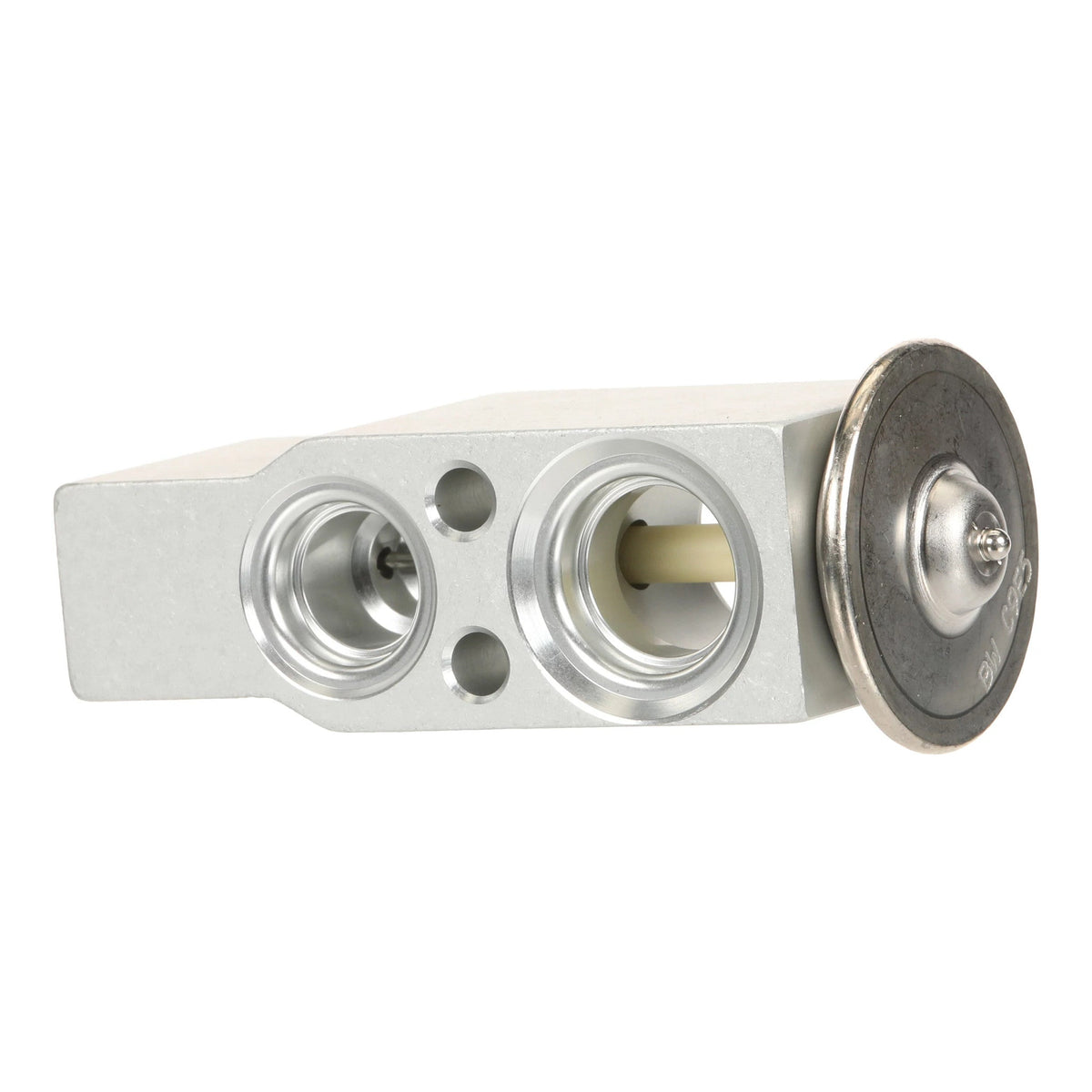 B731002025 - OEM VALVE THERMAL EXPAN - CASE CONSTRUCTION