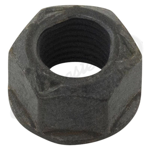 CX18546X - OEM NUT - CASE CONSTRUCTION