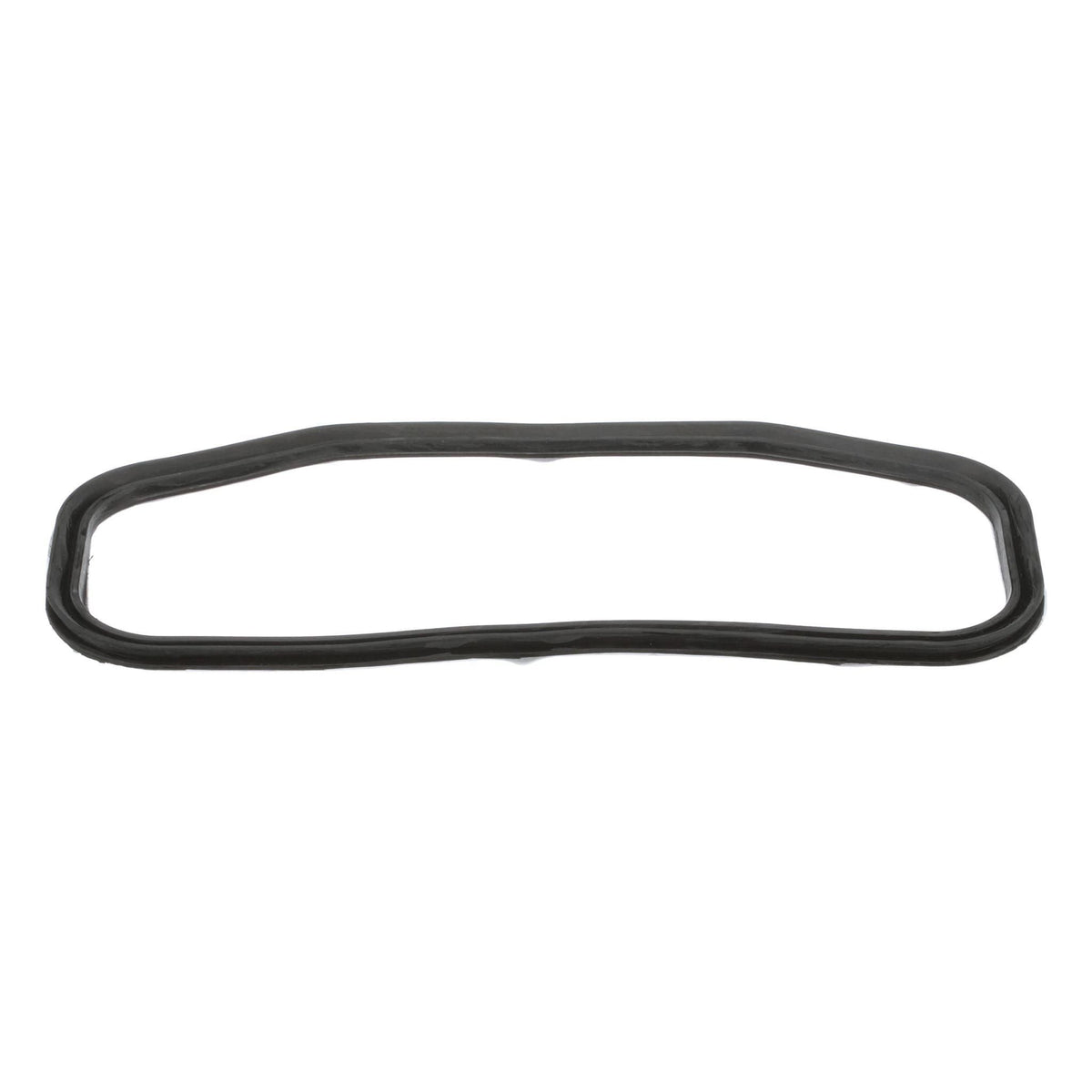 D125759 - OEM GASKET - CASE CONSTRUCTION