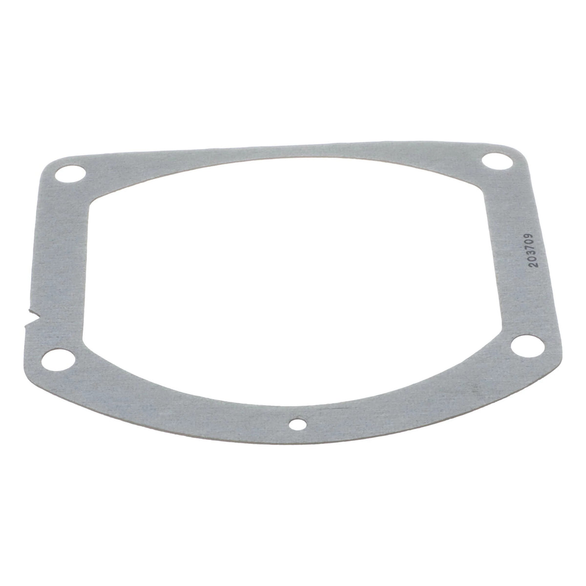 D32005 - OEM GASKET - CASE CONSTRUCTION