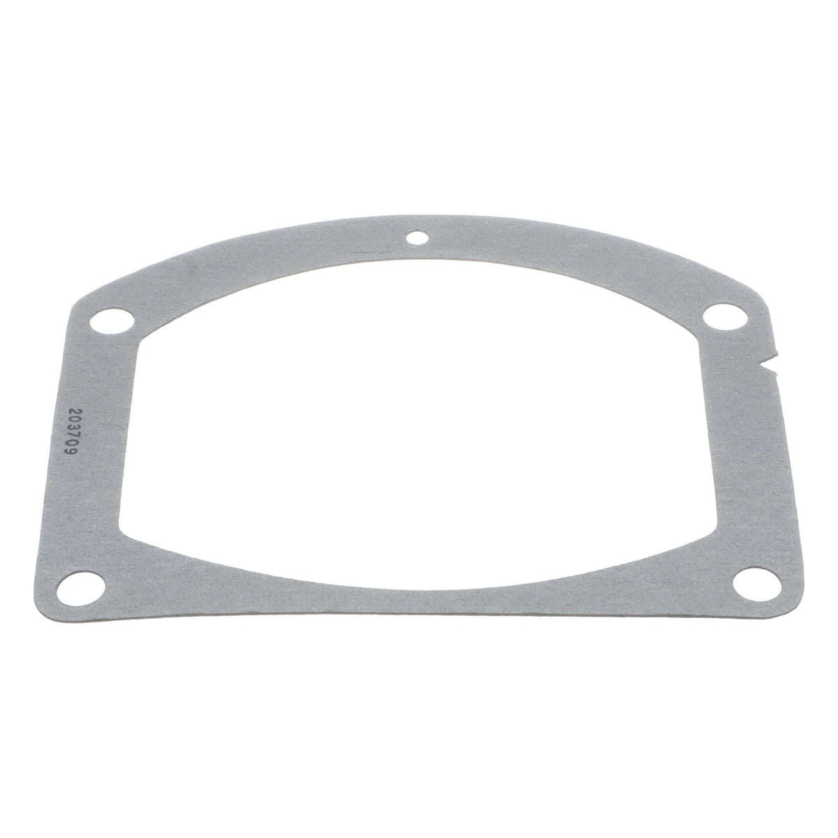 D32005 - OEM GASKET - CASE CONSTRUCTION