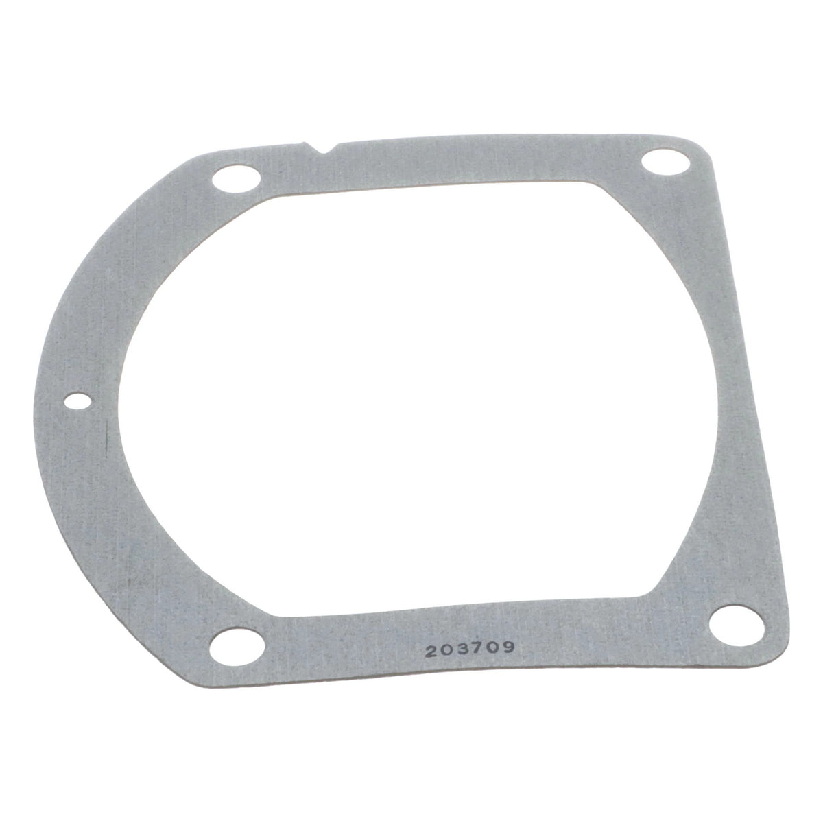 D32005 - OEM GASKET - CASE CONSTRUCTION