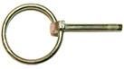 D33805 - OEM PIN - CASE CONSTRUCTION