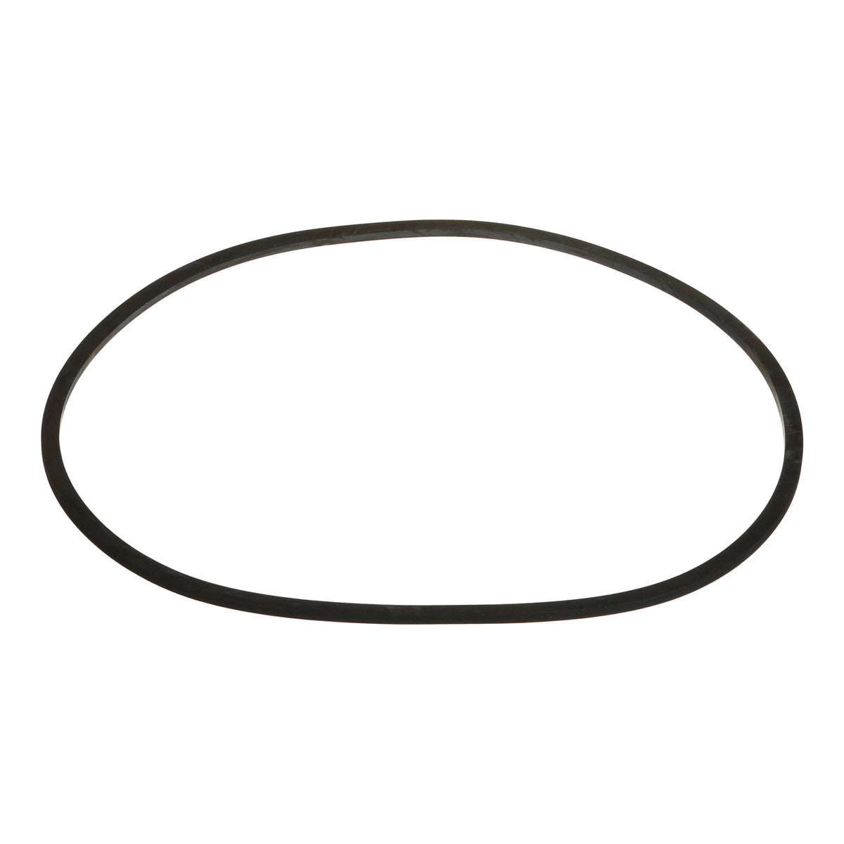 D50036 - OEM SEAL RING - CASE CONSTRUCTION