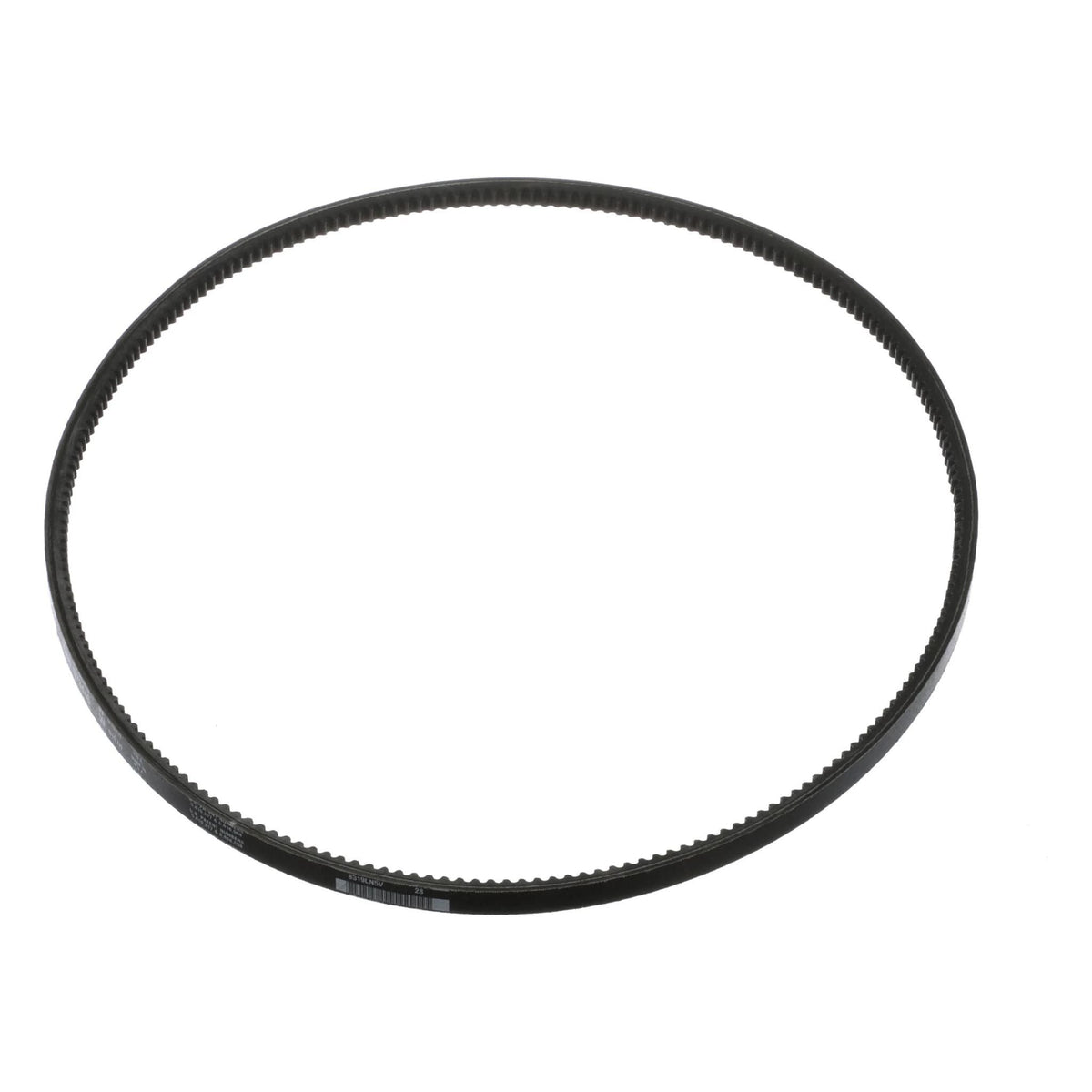 D73446 - OEM ENGINE BELT - CASE CONSTRUCTION