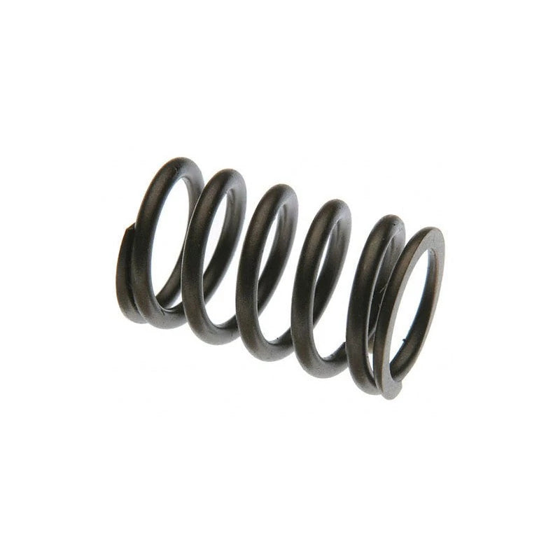 F461248 - OEM VALVE SPRING - CASE CONSTRUCTION