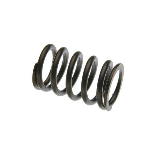 F461248 - OEM VALVE SPRING - CASE CONSTRUCTION