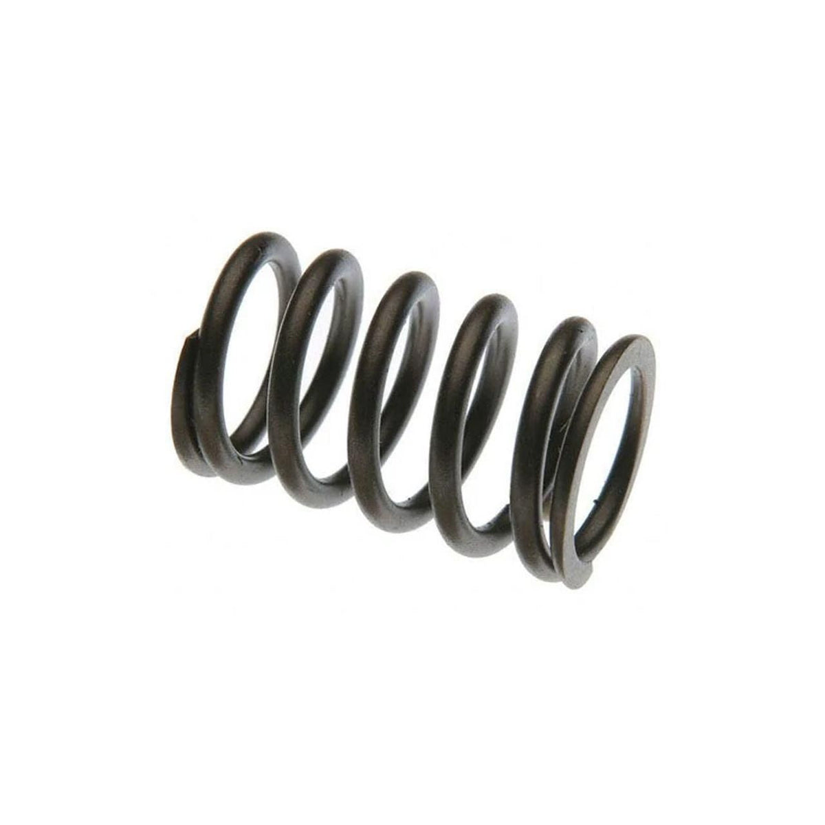 F461248 - OEM VALVE SPRING - CASE CONSTRUCTION