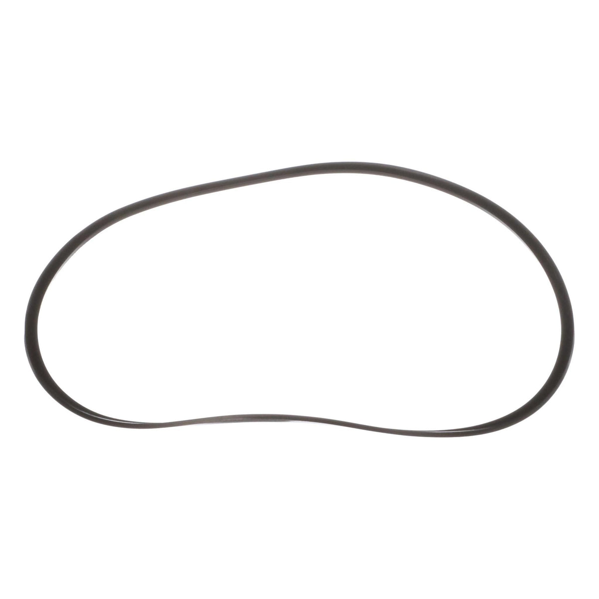 G110679 - OEM HYDRAULIC CYLINDER RING - CASE CONSTRUCTION