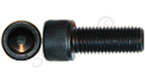 2465669 - OEM SCREW HEX SOC CAPSCRW HS M16 X 70 12.9 PHC - CASE CONSTRUCTION
