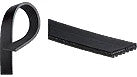 K080485G - OEM BELT - CASE CONSTRUCTION
