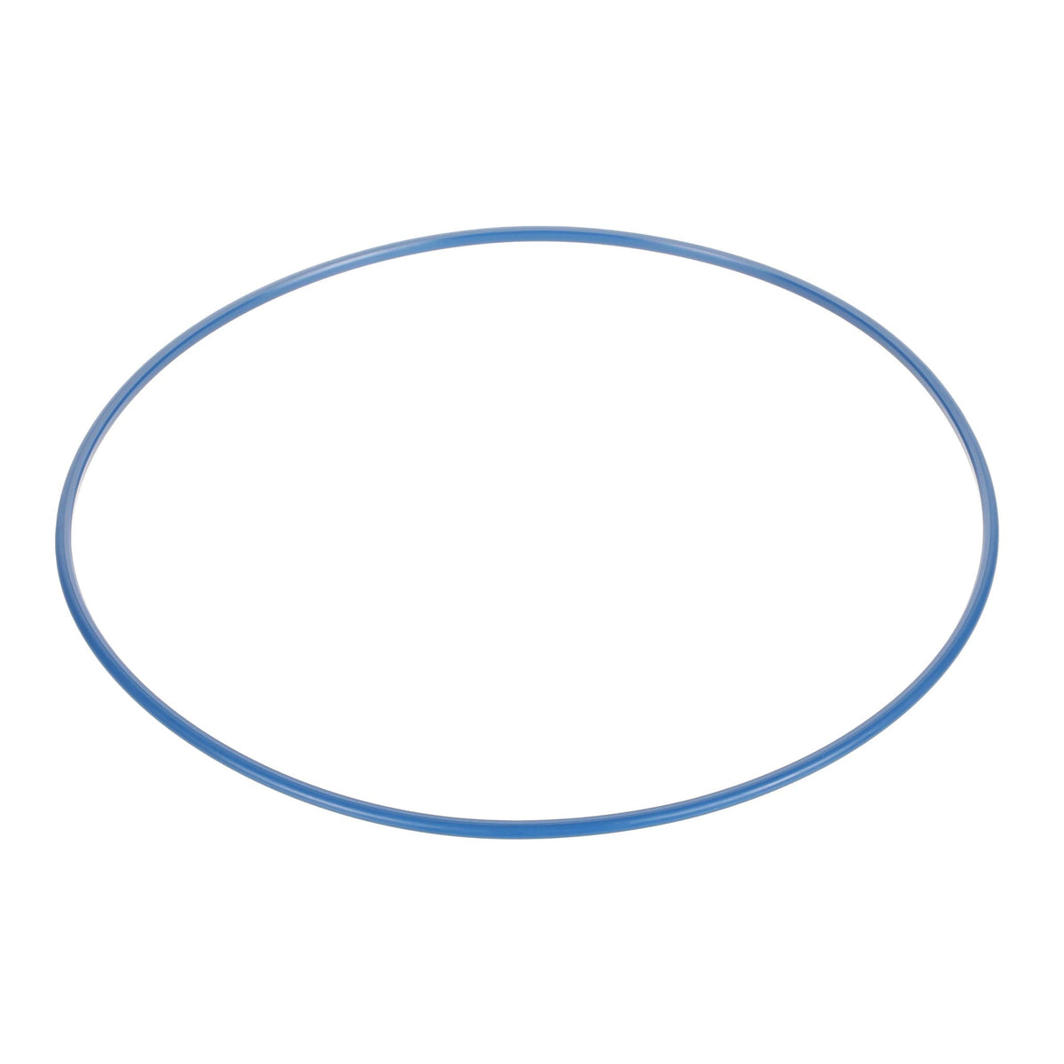 LE012900 - OEM RING SEAL - CASE CONSTRUCTION