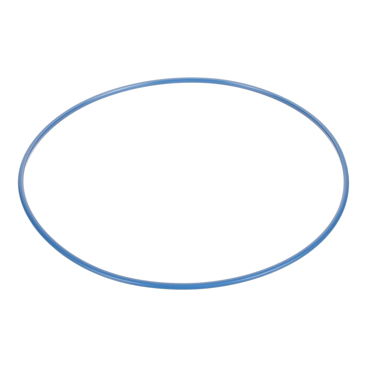 LE012900 - OEM RING SEAL - CASE CONSTRUCTION