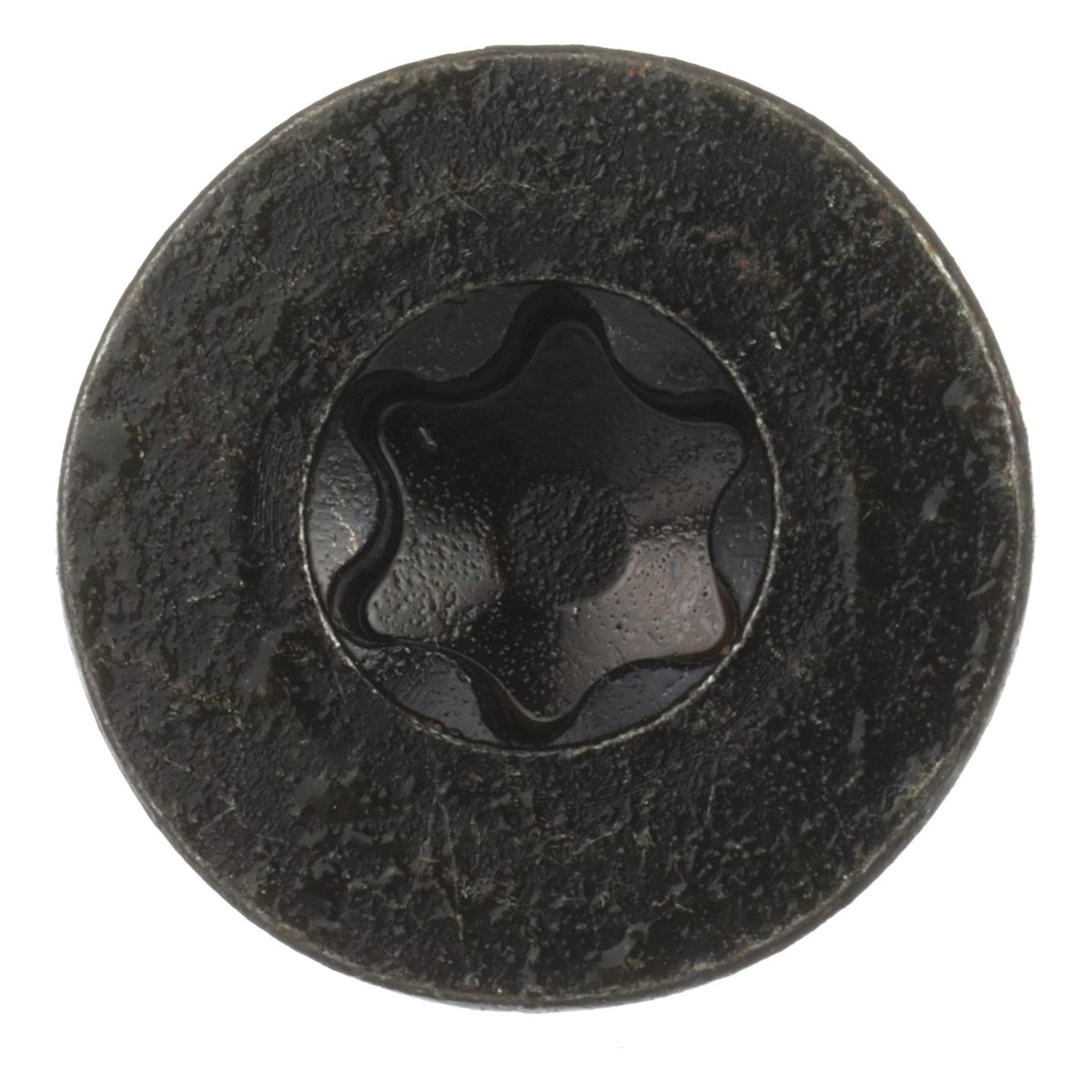 LV00029 - OEM SCREW - CASE CONSTRUCTION