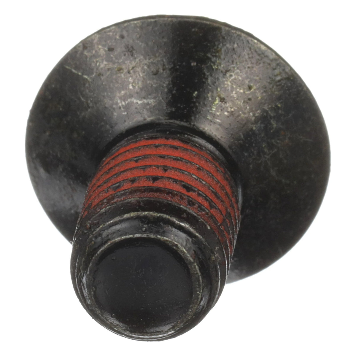 LV00029 - OEM SCREW - CASE CONSTRUCTION