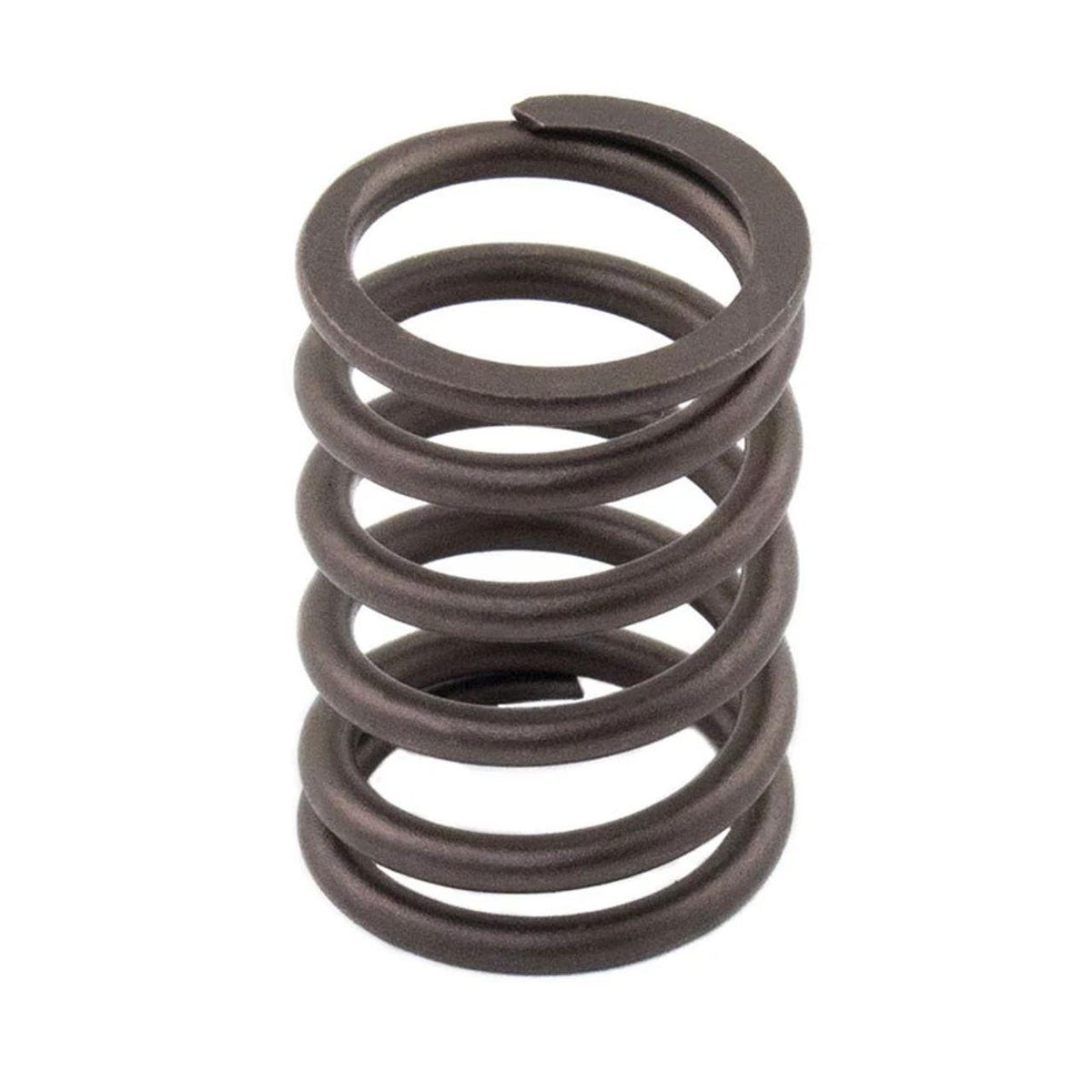 M198216700X - OEM VALVE SPRING - CASE CONSTRUCTION