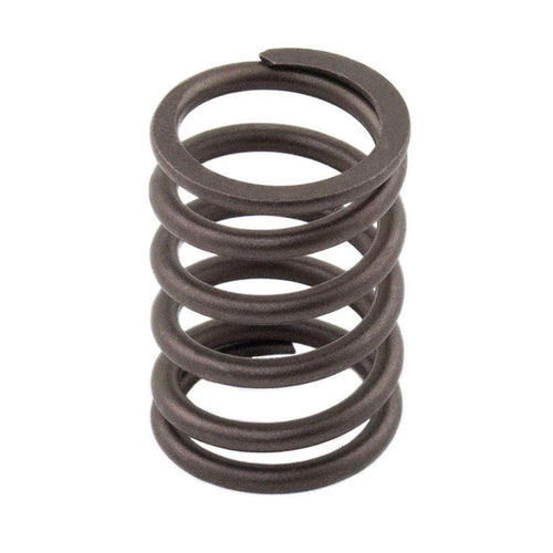 M198216700X - OEM VALVE SPRING - CASE CONSTRUCTION