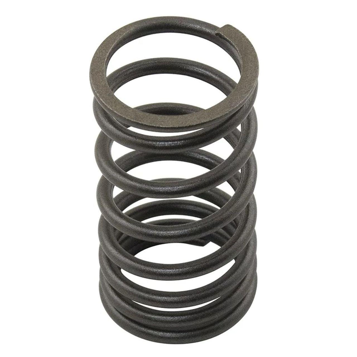 M31744131X - OEM VALVE SPRING - CASE CONSTRUCTION