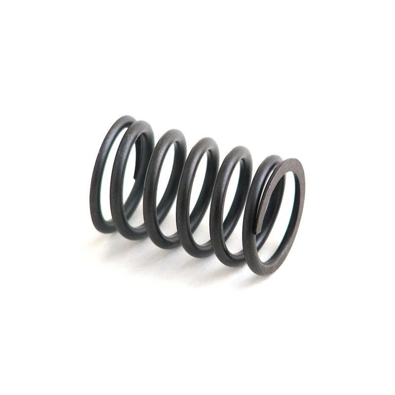 M31744133X - OEM VALVE SPRING - CASE CONSTRUCTION