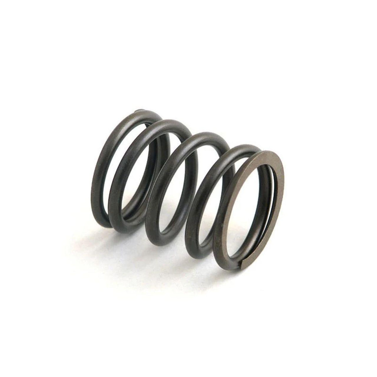 M31745122X - OEM VALVE SPRING - CASE CONSTRUCTION
