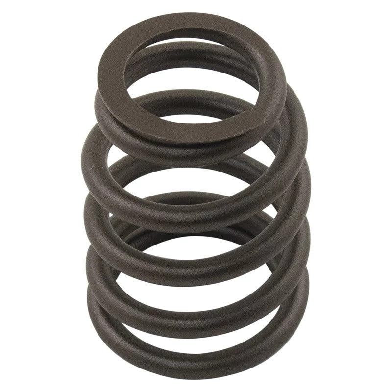 M3174A016X - OEM VALVE SPRING - CASE CONSTRUCTION