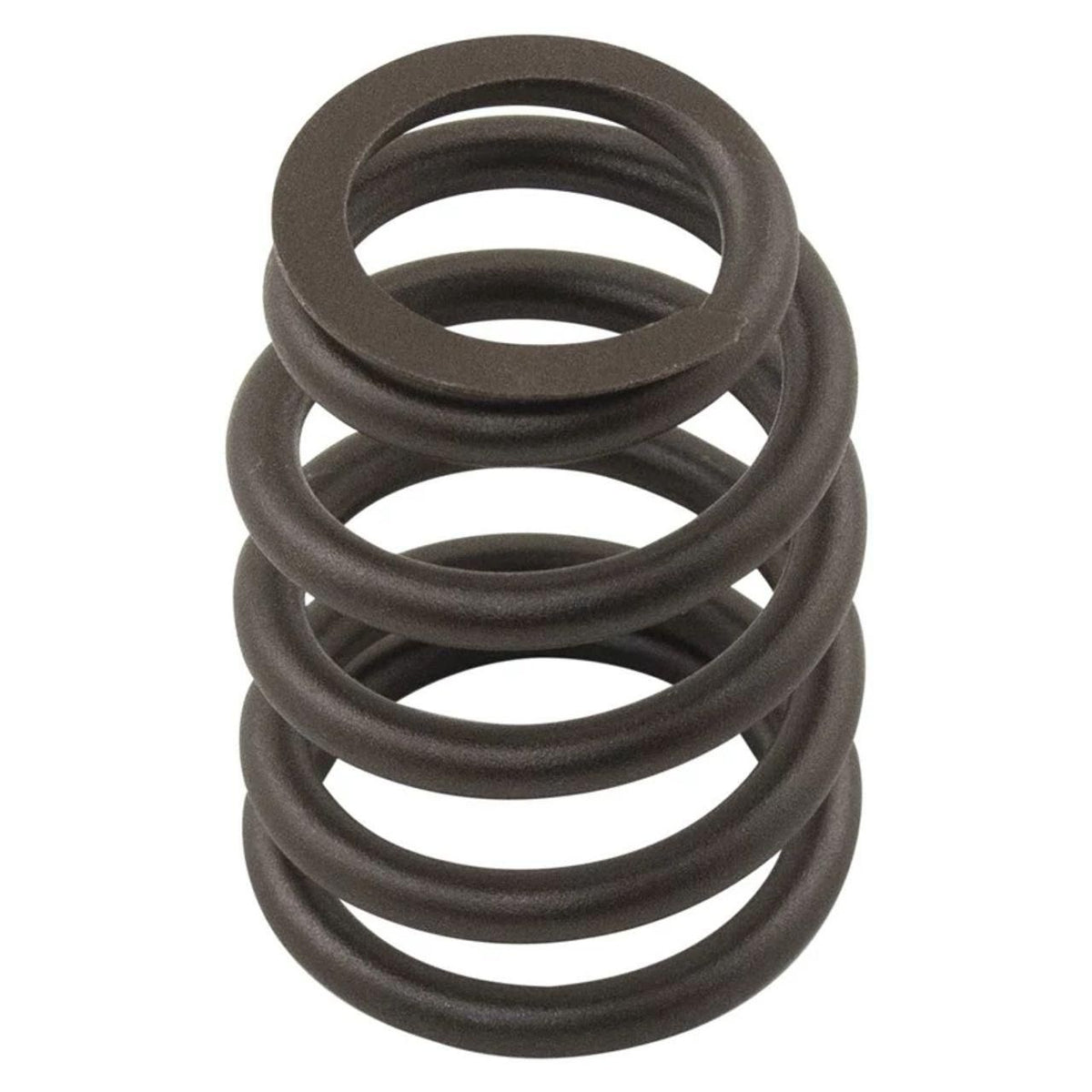 M3174A016X - OEM VALVE SPRING - CASE CONSTRUCTION