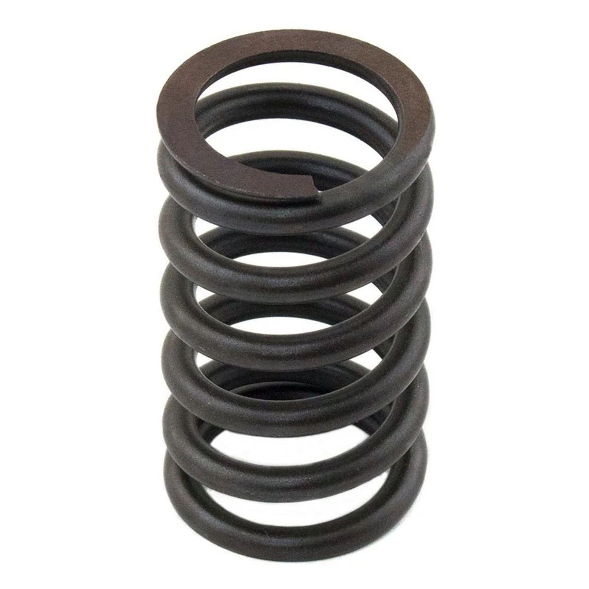 M3174P405X - OEM VALVE SPRING - CASE CONSTRUCTION