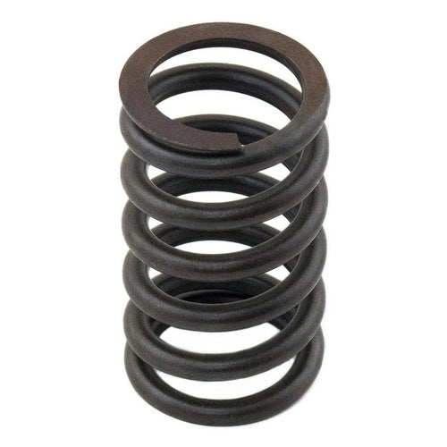 M3174P405X - OEM VALVE SPRING - CASE CONSTRUCTION